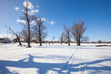 winter sunny landscape