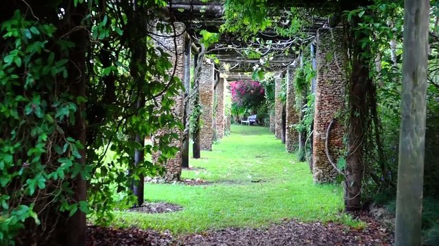 romantic nature passage. hd zoom