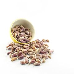 garlic isolated on white background