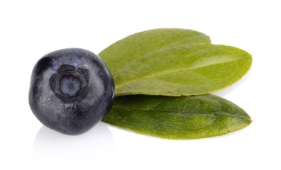 Studio shot fresh blueberries with leaves isolated white