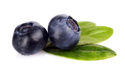 Macro closeup view blueberries leaves isolated white