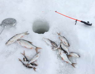 winter fishing
