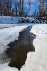 Fototapeta premium Spring has come