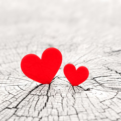 Fototapeta premium two hearts and valentines day