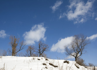winter sunny landscape