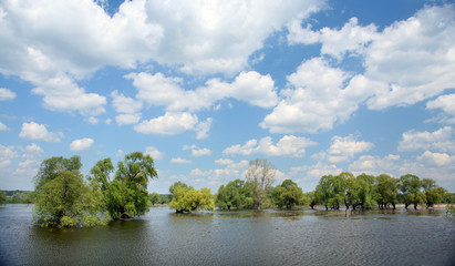 Fototapeta premium spring flood