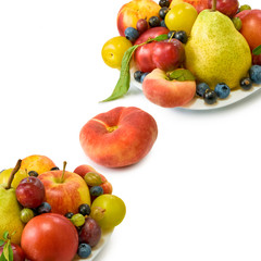 different fruits on white background