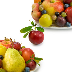 different fruits