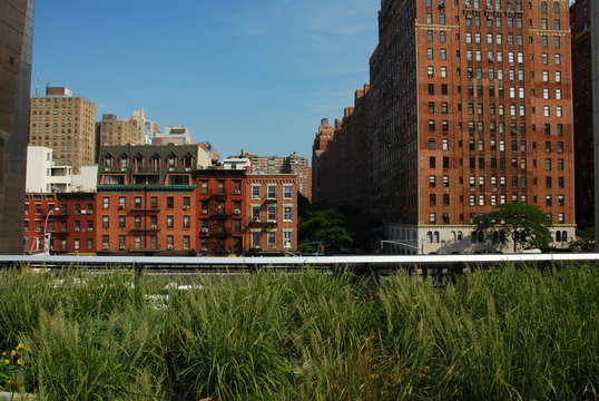 High Line, Manhattan, NYC