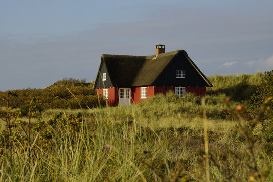 Ferienhaus an der dänischen Nordseeküste