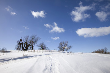 winter sunny landscape