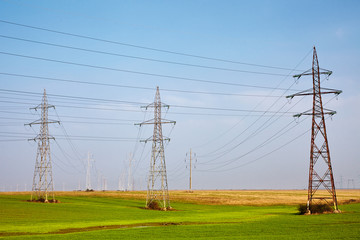 Electricity poles on a meadow