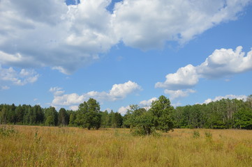 Obraz premium Летний день