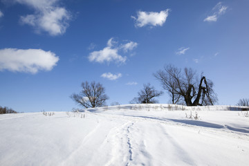 winter sunny landscape