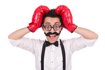Funny boxer isolated on the white background