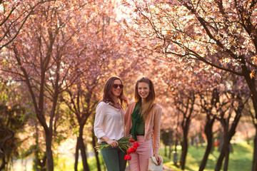 Fototapeta premium two beautiful ladies in spring park