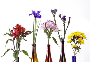 beautiful flowers in colorful bottles