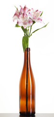 beautiful flower in colorful bottle