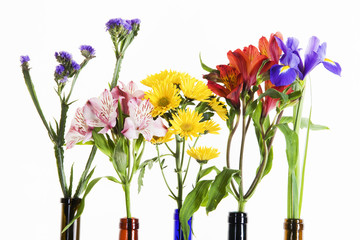 beautiful flowers in colorful bottles