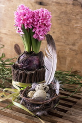 spring decoration with quail eggs and hyacinth flower