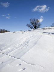winter sunny landscape