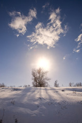 winter sunny landscape