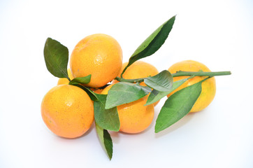 orange fruit