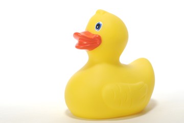 duck toy