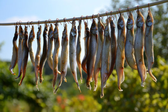 appetizing Dried fish on a background of blue sky