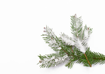 Winter background with snow-covered tree