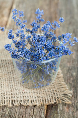 Fototapeta premium lavender flowers