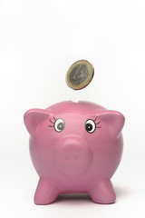 Euros and piggy bank