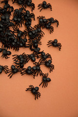 spiders on orange in corner