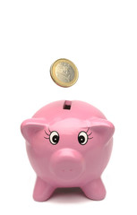 Euros and piggy bank