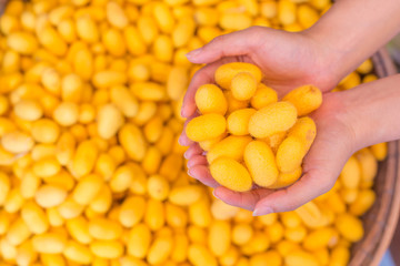 silkworm cocoons
