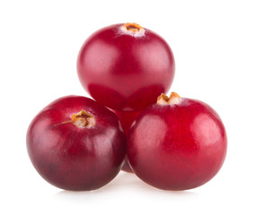 Obraz premium cranberries
