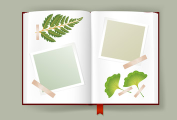 Opened Album With Blank Photo Frames And Dried Leaves