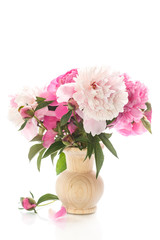 beautiful blooming peonies