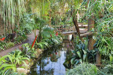 Botanical garden with hiking trail and foot bridge
