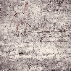 Obraz premium Close up old cement wall texture