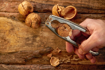 Man cracking walnut with metal nutcracker in hand on wooden back