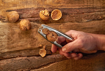 Man cracking walnut with metal nutcracker in hand on wooden back