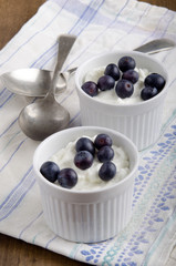 yogurt with blueberries in a bowl