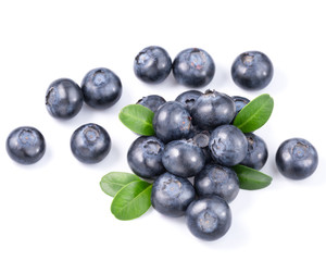 blueberries isolated