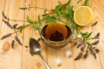 cup with a delicious mint tea and twigs on the table