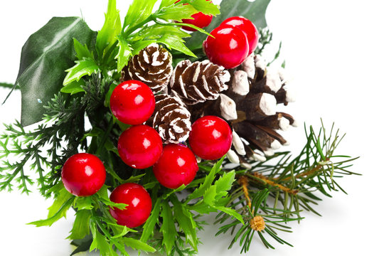 decorazione natazia vischio