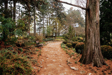 Bench in autumn park