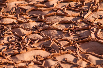 Dry cracked bottom of a lake Textured Background