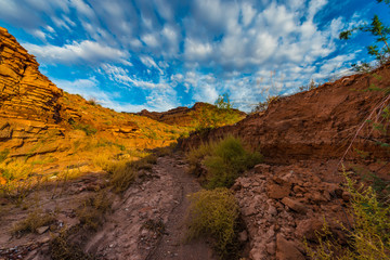 Dry Parts of the White Canyon Utah