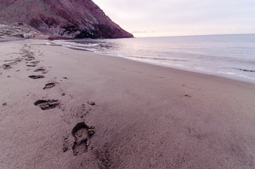 Obraz premium Beach and Wave at Sunrise Time